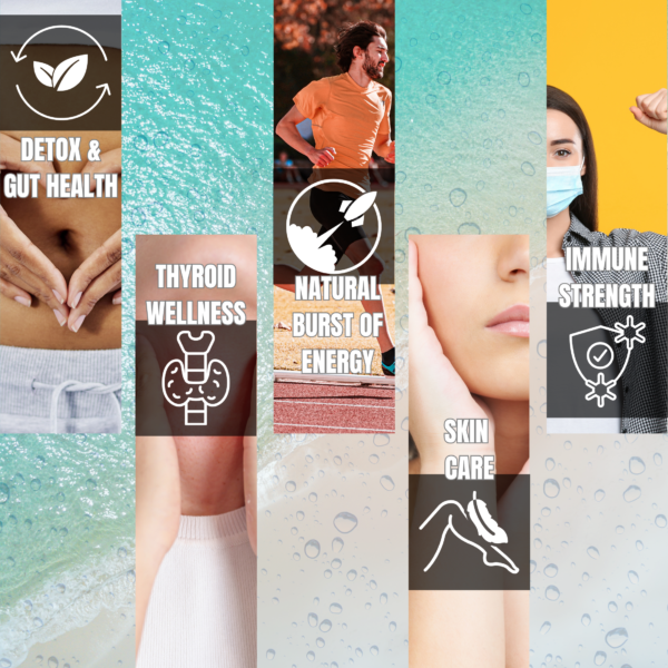 Seamoss Capsules – Enhance Energy & Immune Health - Image 6