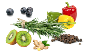 vegan supplements company